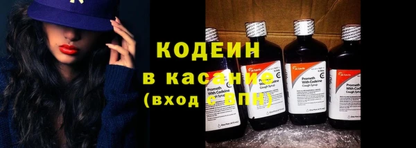 прущие грибы Балахна