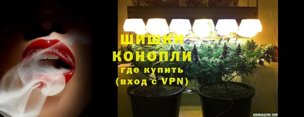 прущие грибы Балахна