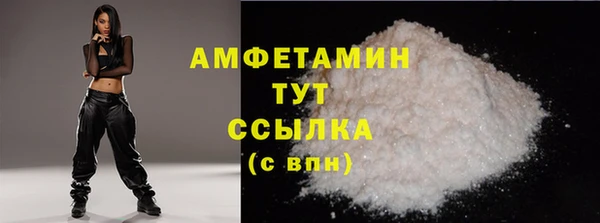 прущие грибы Балахна