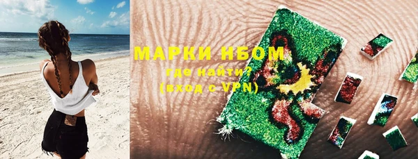прущие грибы Балахна