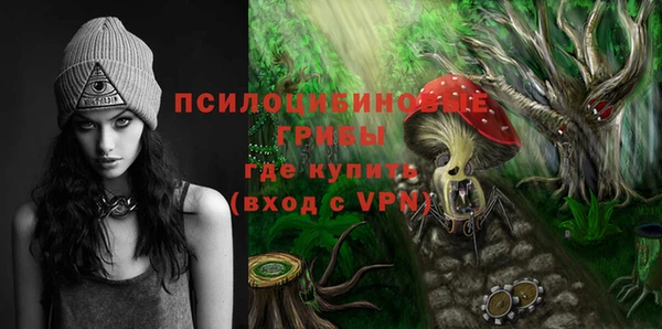 прущие грибы Балахна
