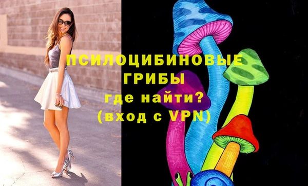 крисы Арсеньев