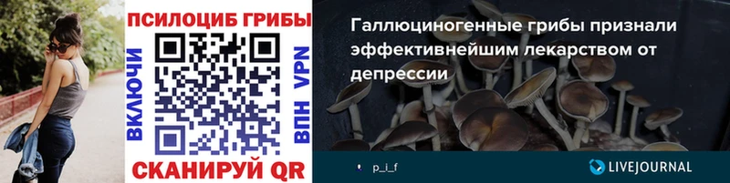 Купить где  Лабытнанги  Псилоцибиновые грибы мицелий 